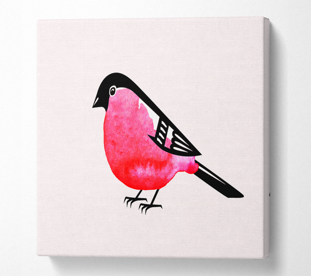 A Canvas Print of Pink Robin Breast Canvas Wall Art