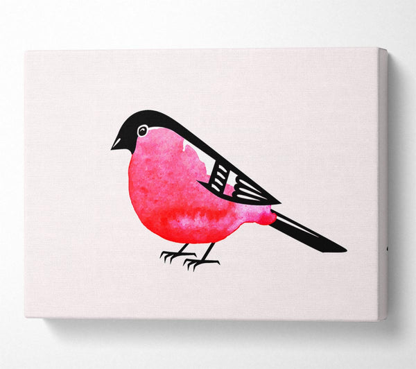  A Canvas Print of Pink Robin Breast Canvas Wall Art