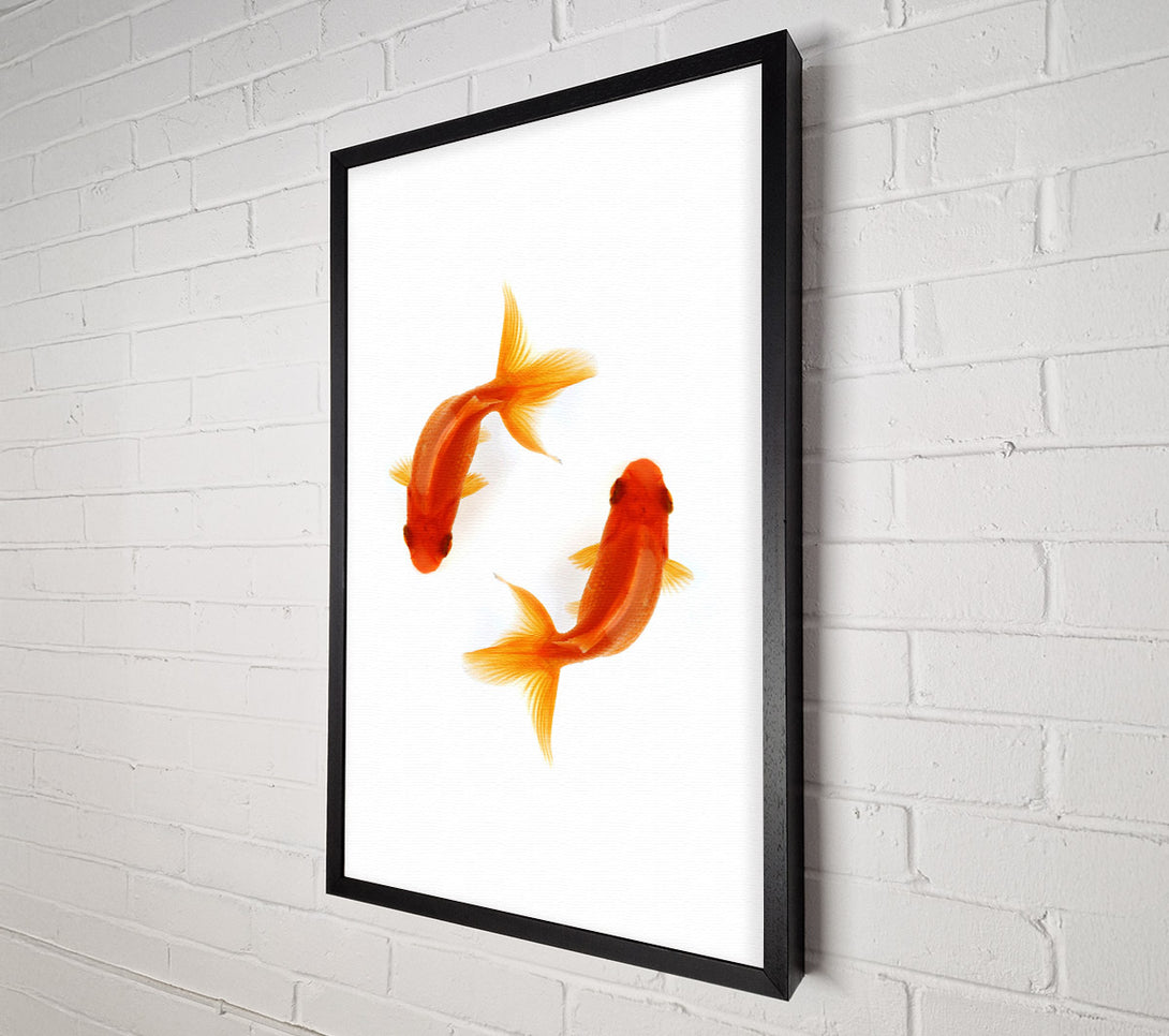  A Canvas Print of Goldfish Reflections Canvas Wall Art