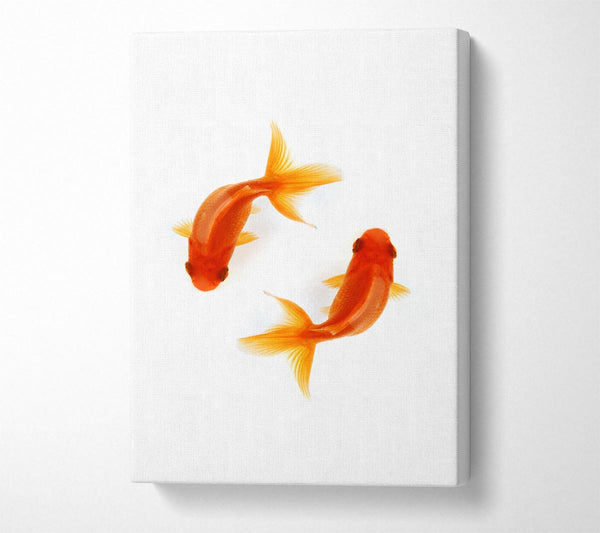  A Canvas Print of Goldfish Reflections Canvas Wall Art