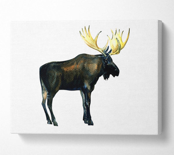  A Canvas Print of Moose Canvas Art