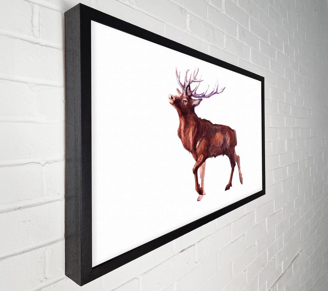  A Canvas Print of Red Stag Delight Canvas Art