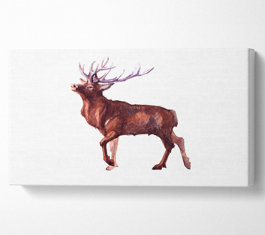  A Canvas Print of Red Stag Delight Canvas Art