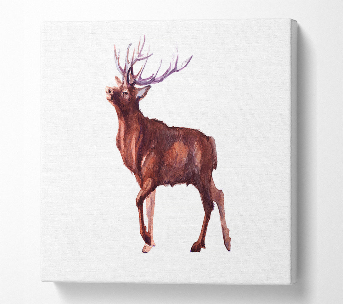  A Canvas Print of Red Stag Delight Canvas Art