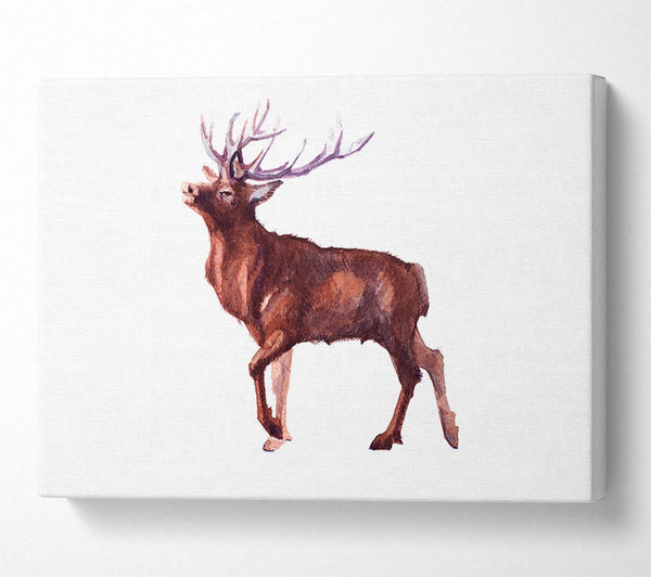 Red Stag Delight Canvas Art