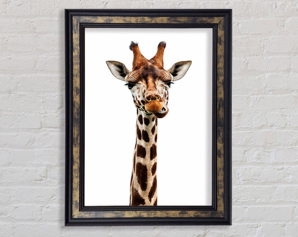 Goofy Giraffe Framed Print