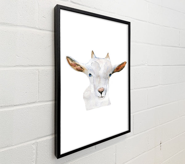 Baby Goat Face
