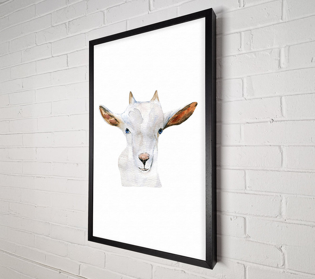  A Canvas Print of Baby Goat Face Canvas Print