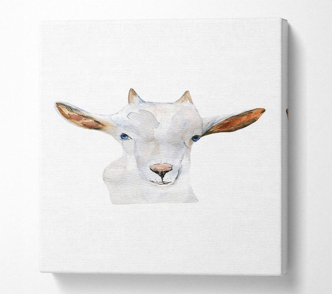  A Canvas Print of Baby Goat Face Canvas Print