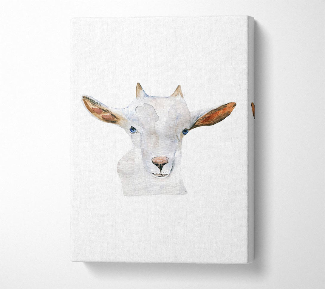  A Canvas Print of Baby Goat Face Canvas Print