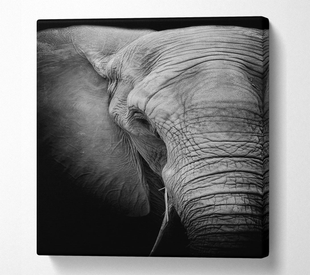  A Canvas Print of Elephant Power Canvas Wall Art