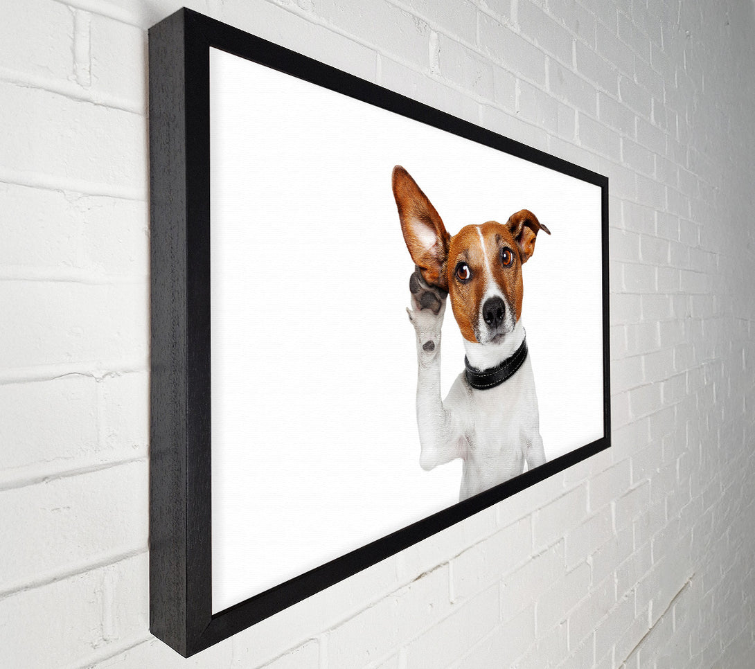  A Canvas Print of Jack Russell Dog Listen Canvas Wall Art