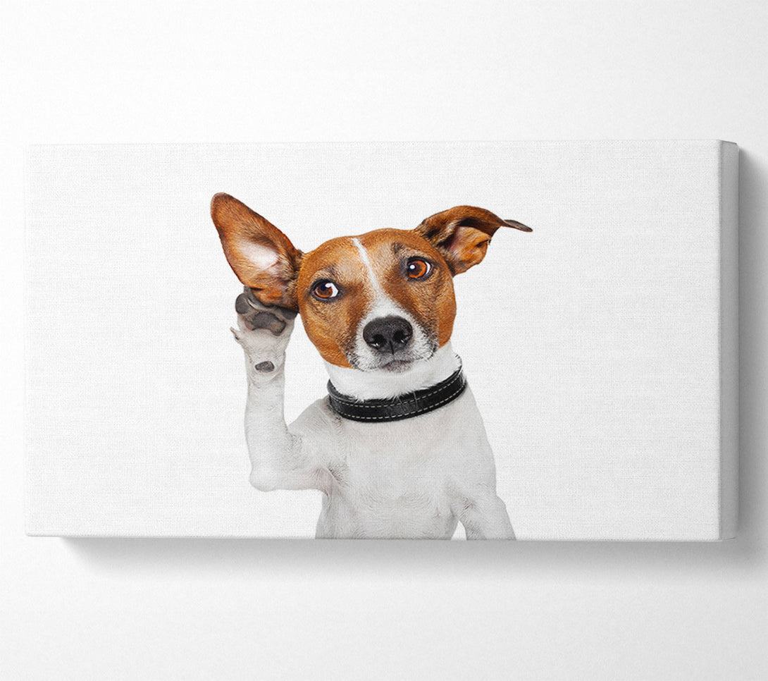  A Canvas Print of Jack Russell Dog Listen Canvas Wall Art