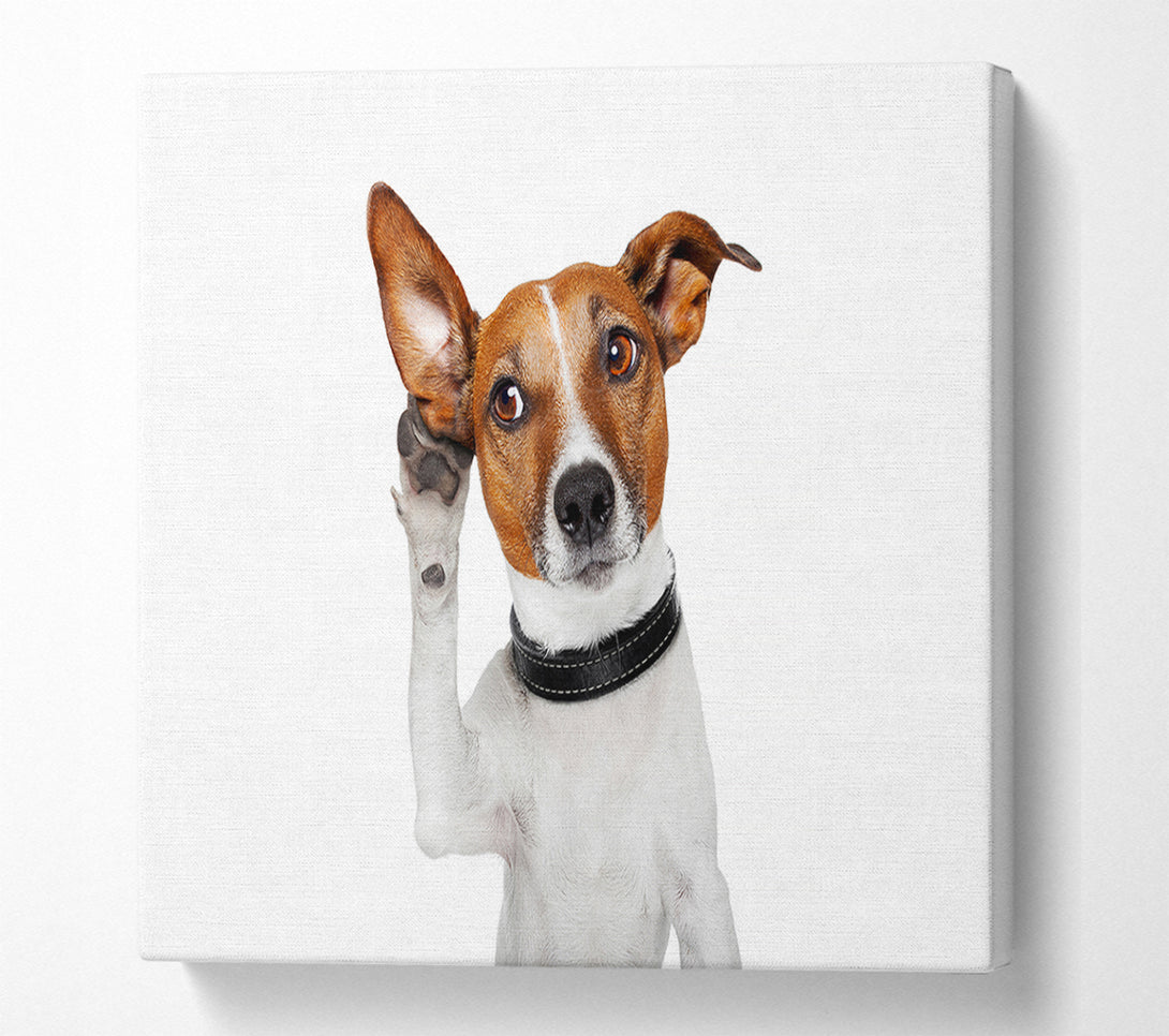  A Canvas Print of Jack Russell Dog Listen Canvas Wall Art