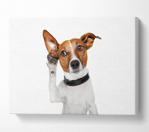  A Canvas Print of Jack Russell Dog Listen Canvas Wall Art