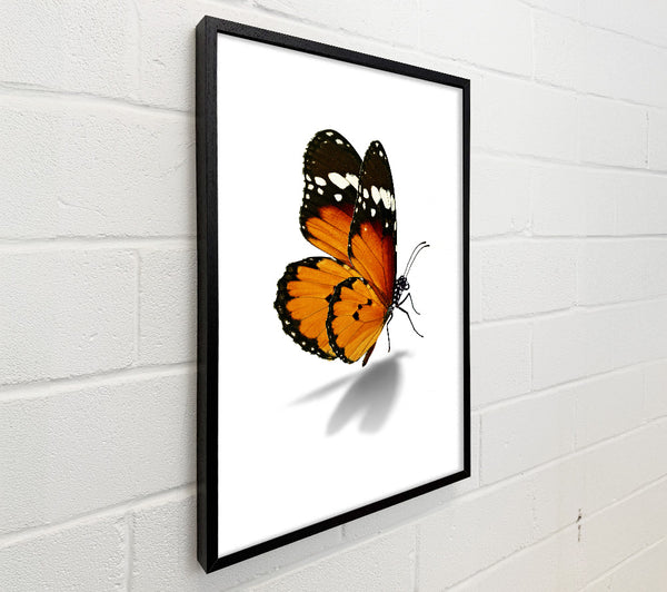 Orange Butterfly