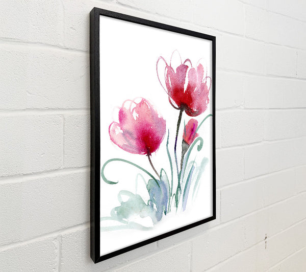 Poppy Stems