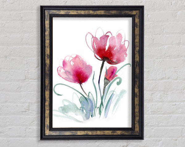 Poppy Stems Framed Print
