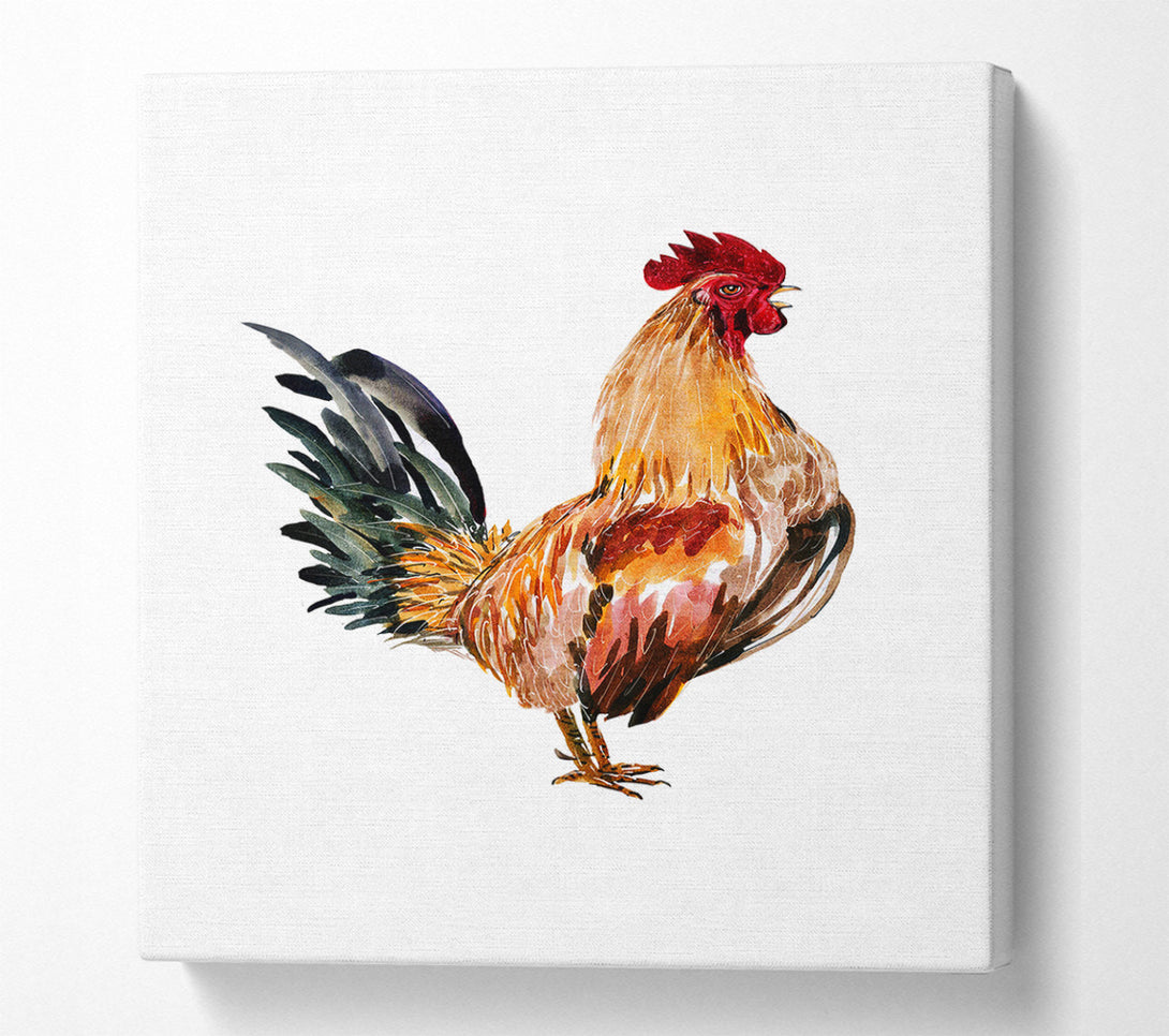  A Canvas Print of Chicken Call Canvas Print