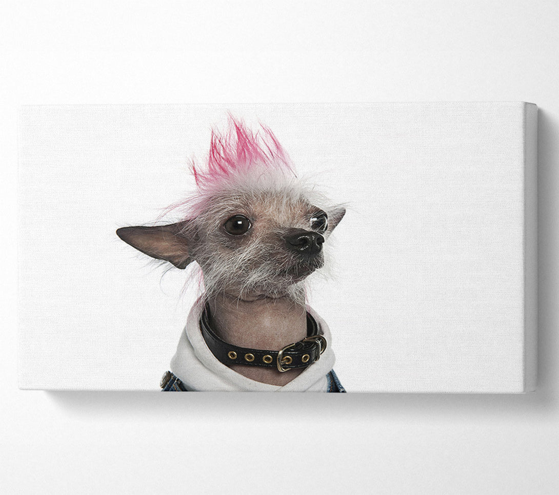  A Canvas Print of Chinese Crested Punk Dog Canvas Print