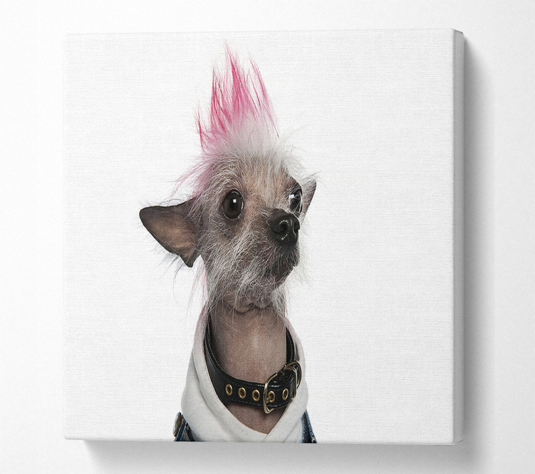 A Canvas Print of Chinese Crested Punk Dog Canvas Print