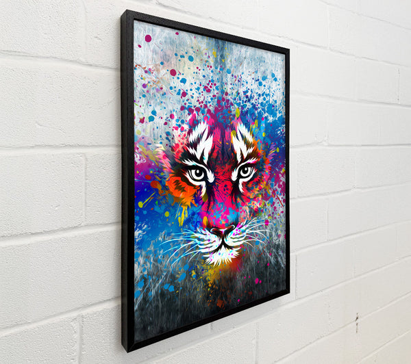 Rainbow Tiger Face