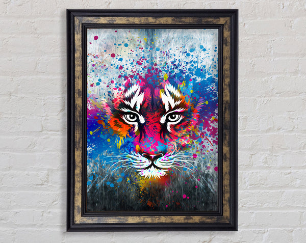Rainbow Tiger Face Framed Print