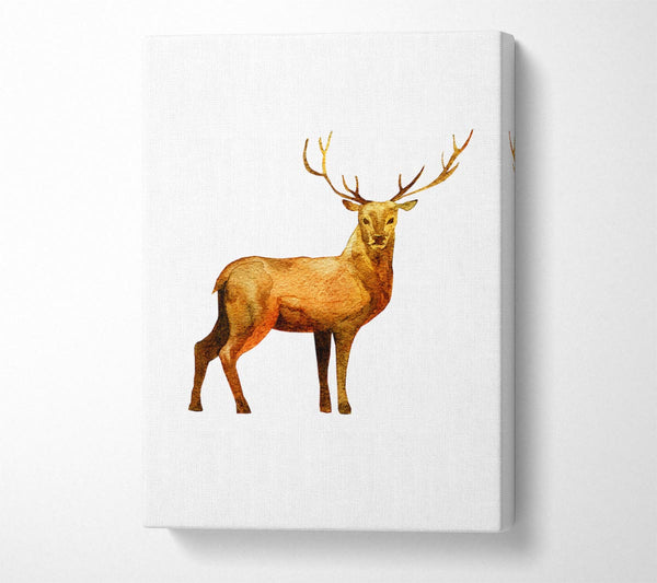  A Canvas Print of Deer Delight Canvas Art