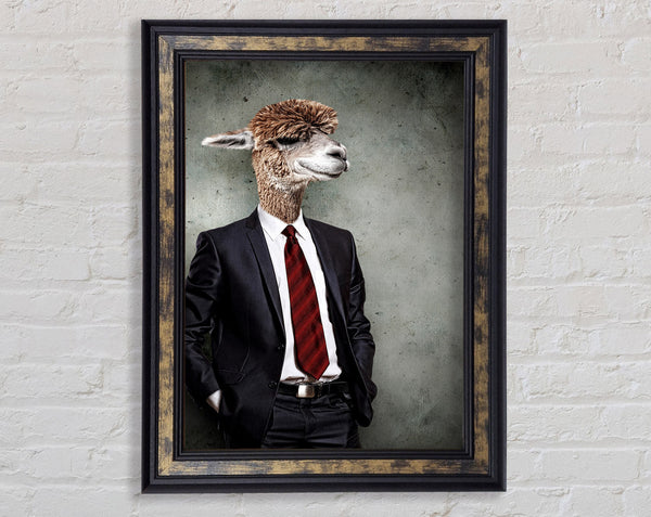 Business Llama Framed Print