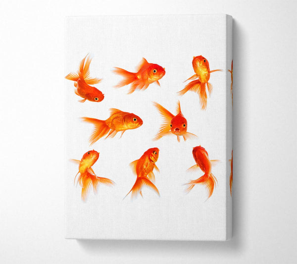  A Canvas Print of Goldfish Party Canvas Wall Art