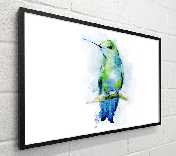 Hummingbird Branch
