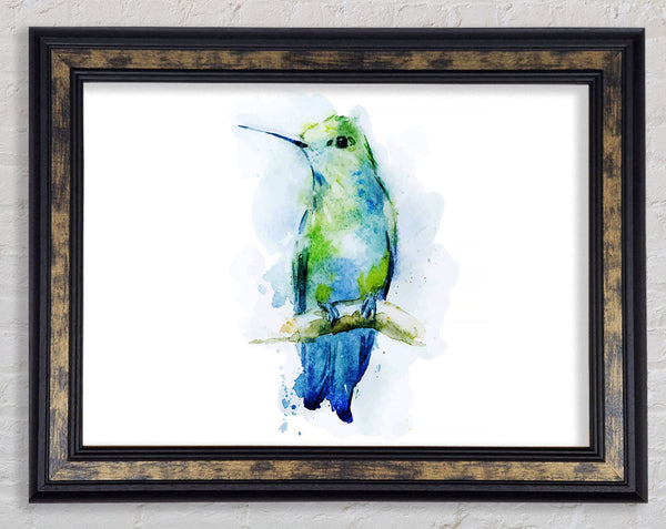 Hummingbird Branch Framed Print