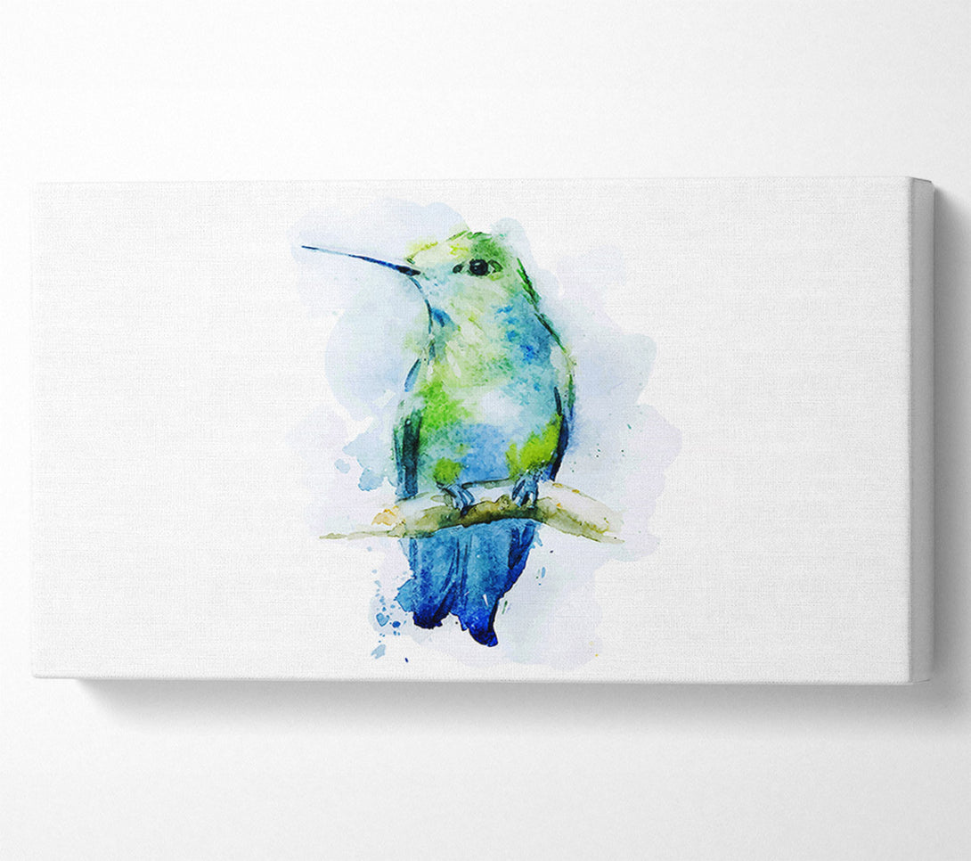  A Canvas Print of Hummingbird Branch Canvas Wall Art