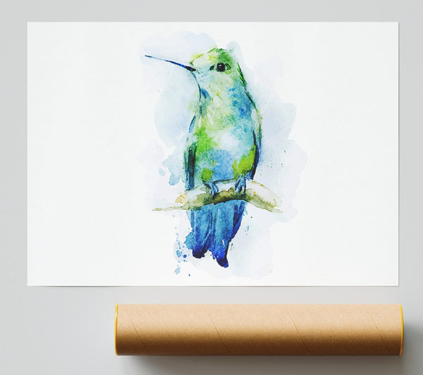Hummingbird Branch Print