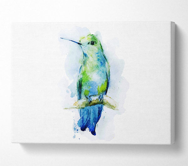  A Canvas Print of Hummingbird Branch Canvas Wall Art