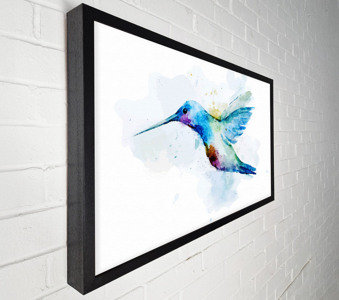  A Canvas Print of Hummingbird Splash Canvas Art