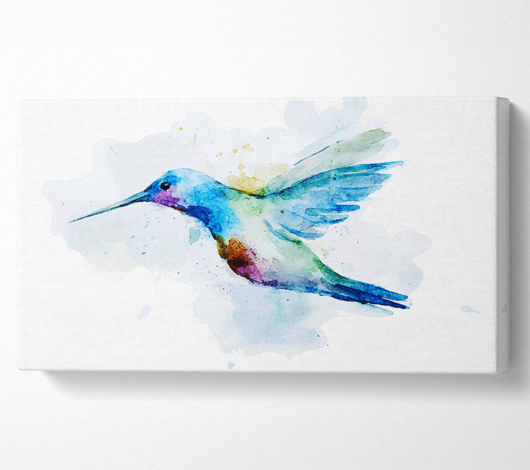  A Canvas Print of Hummingbird Splash Canvas Art