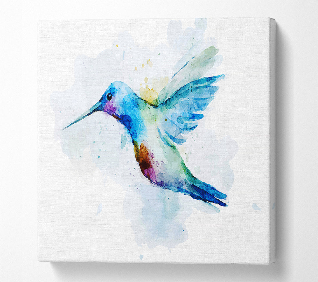  A Canvas Print of Hummingbird Splash Canvas Art