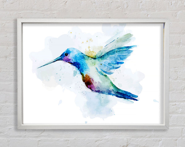 Kolibri-Spritzer
