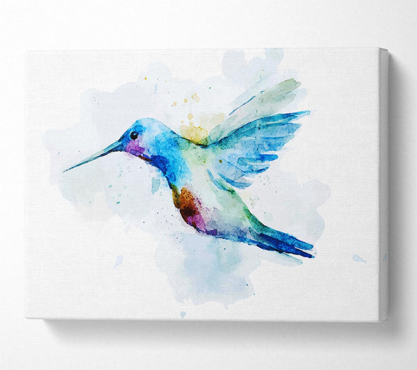  A Canvas Print of Hummingbird Splash Canvas Art