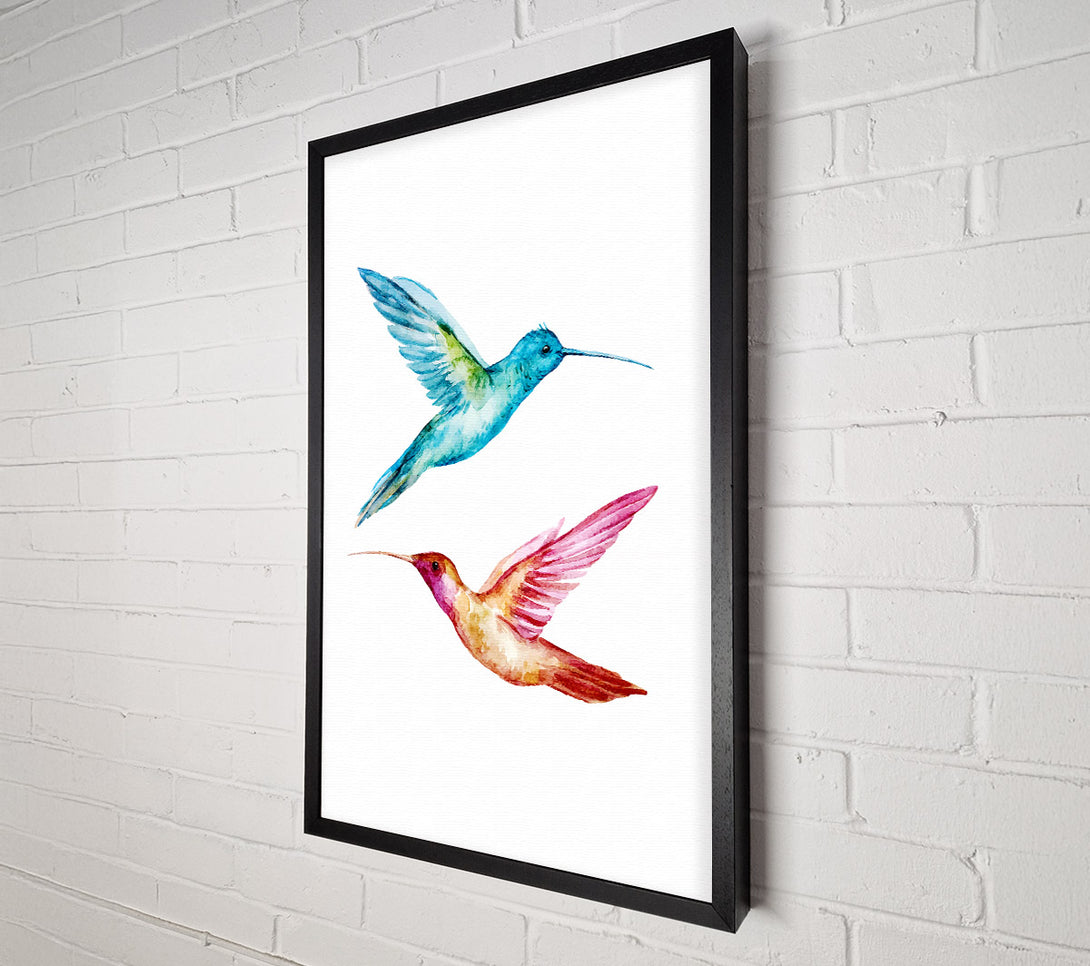  A Canvas Print of Hummingbird Duo Canvas Art