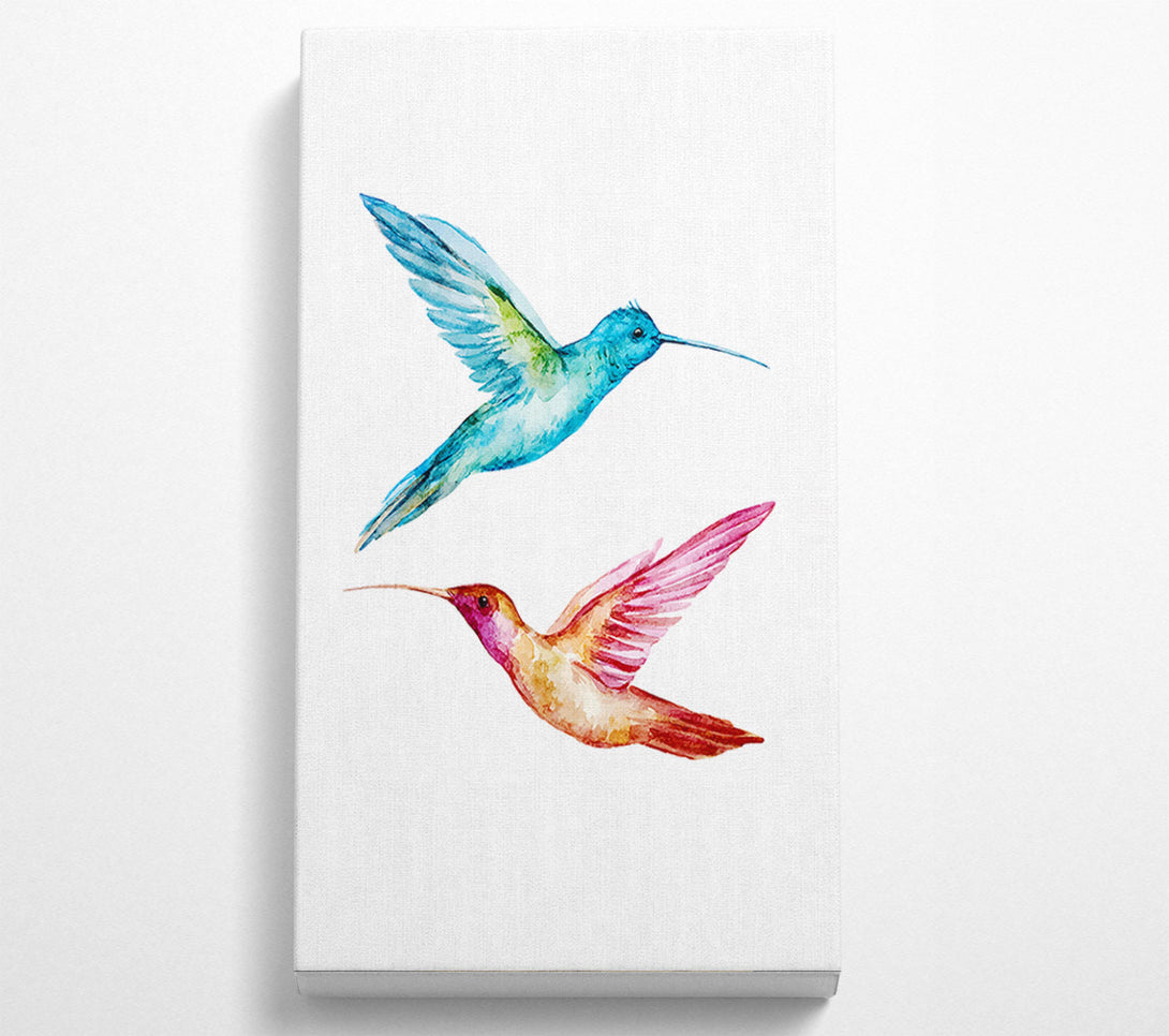  A Canvas Print of Hummingbird Duo Canvas Art