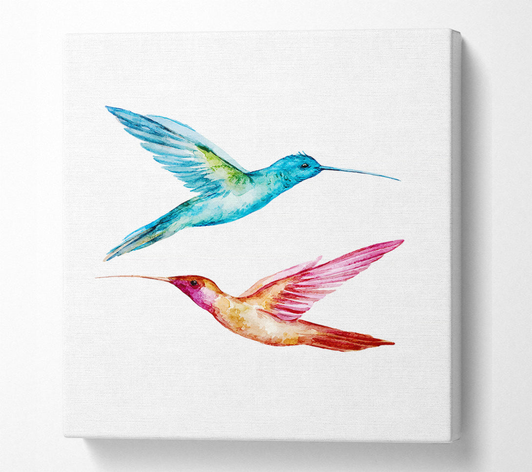  A Canvas Print of Hummingbird Duo Canvas Art