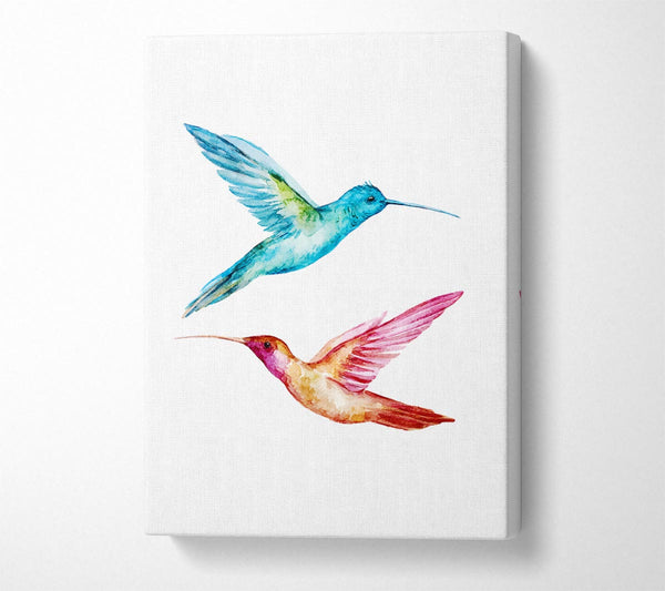  A Canvas Print of Hummingbird Duo Canvas Art