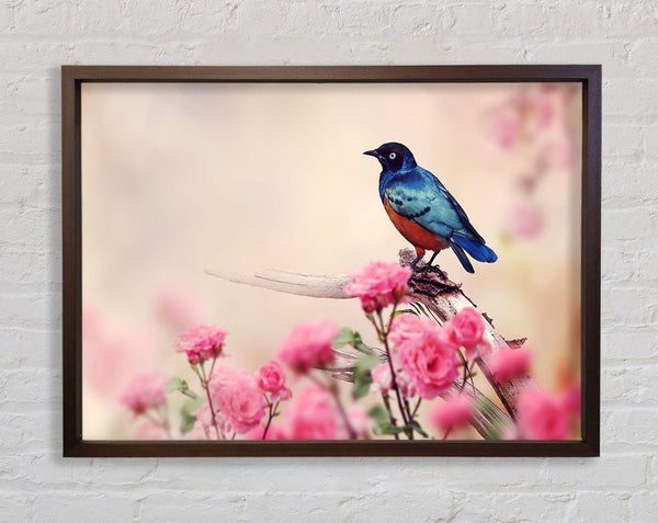 Blauer Vogel in der Kirschblüte