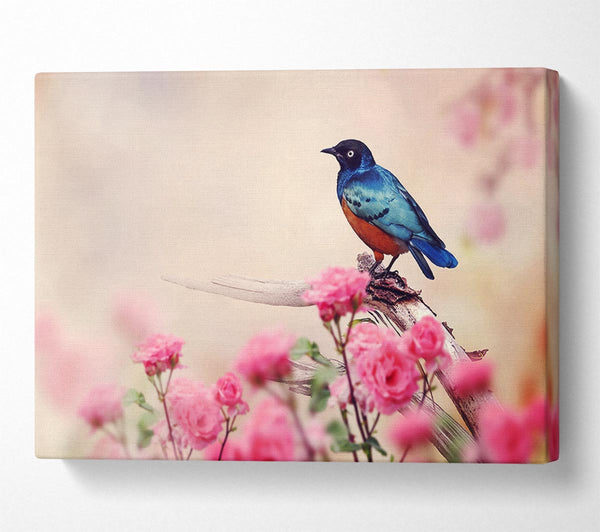  A Canvas Print of Blue Bird In The Cherry Blossom Canvas Art