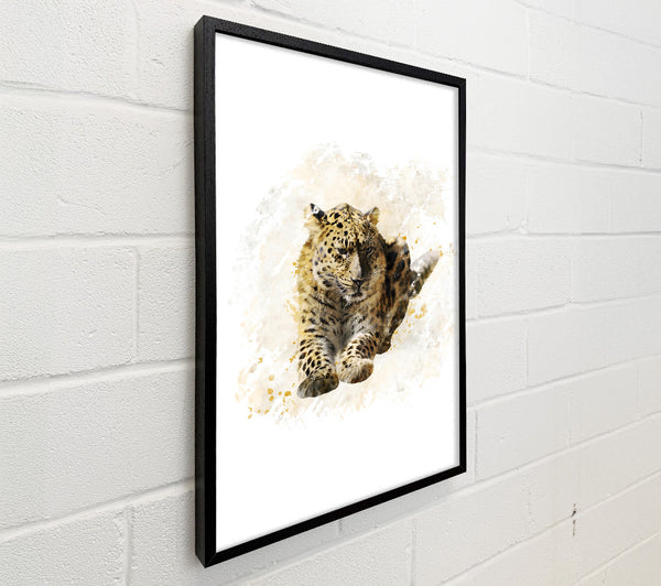 Leopard Spots