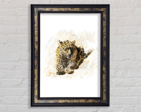 Leopard Spots Framed Print