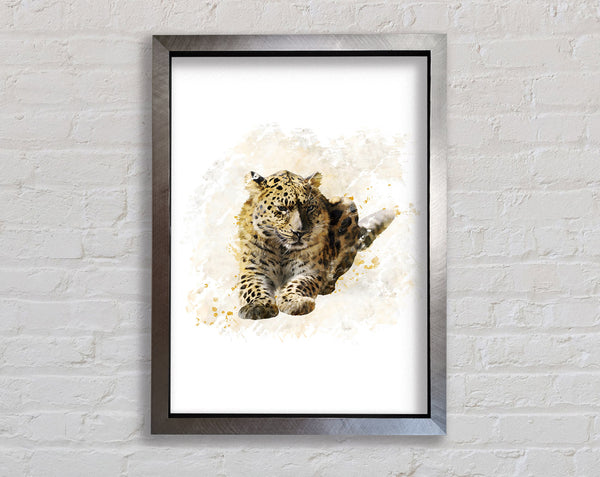 Leopardenflecken