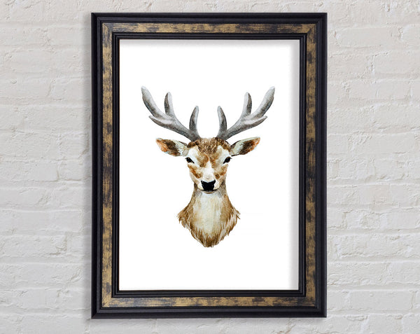 Female Deer Head Framed Print